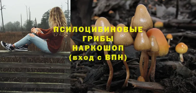 ссылка на мегу ссылки  Назарово  shop какой сайт  Псилоцибиновые грибы Magic Shrooms 